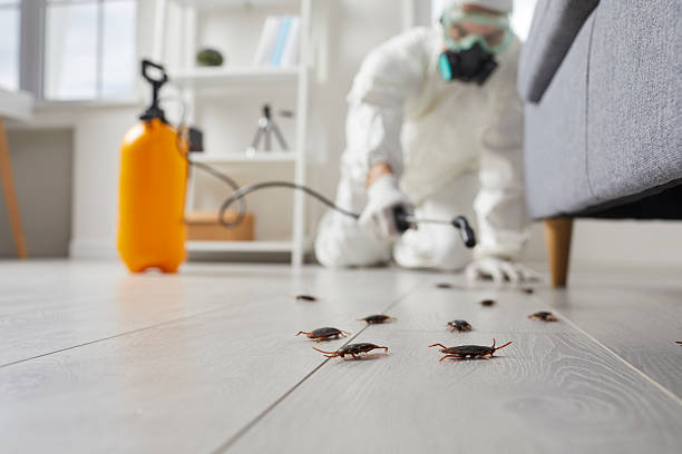 Commercial Kitchen Cockroach Control in West Point